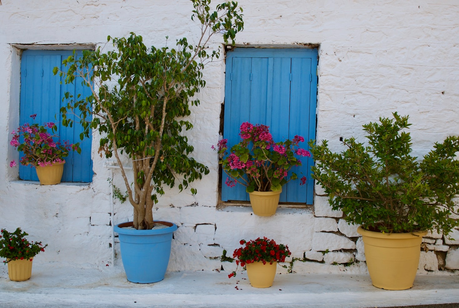 Exploring Greece: A Guide to Local Adventures